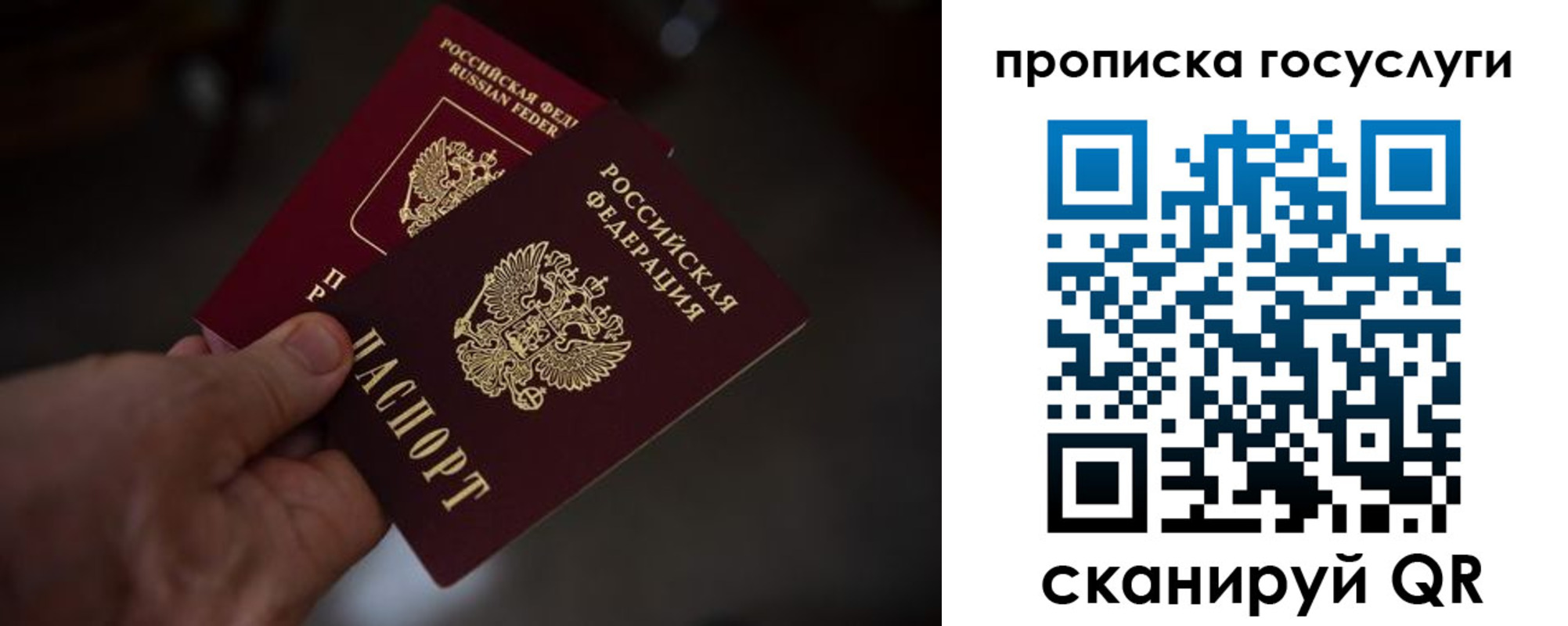 прописка ребенка в Красногорске